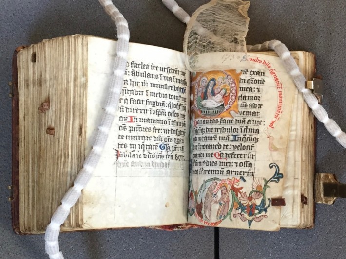 Medingen Psalter, viewed by FNL members during a visit in 2016