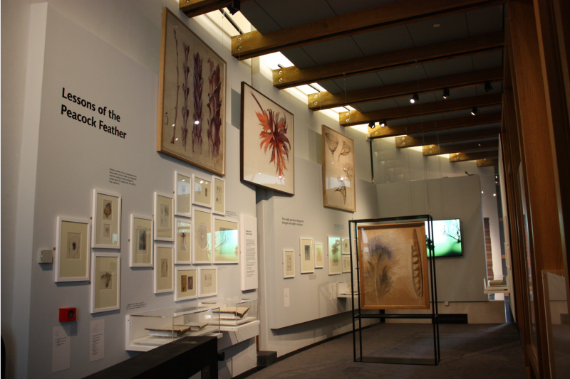 Displays in The Ruskin's relaunch exhibition 'Museum of the Near Future', 2019-2020.